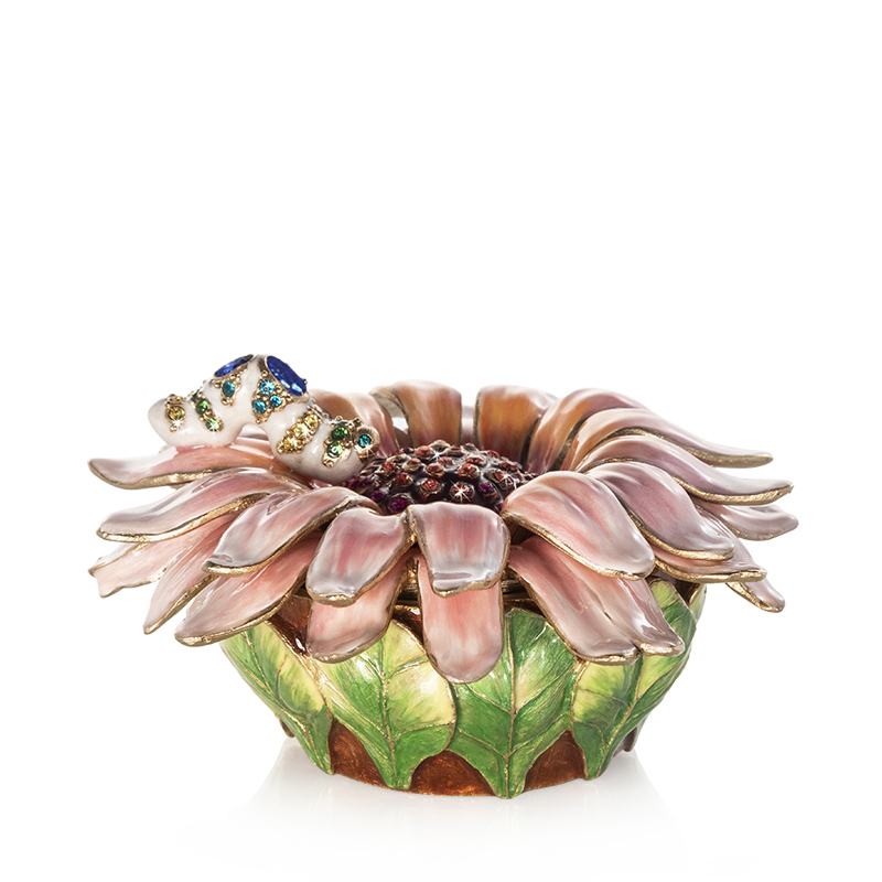 Flower And Caterpillar Box
Flower And Caterpillar Box