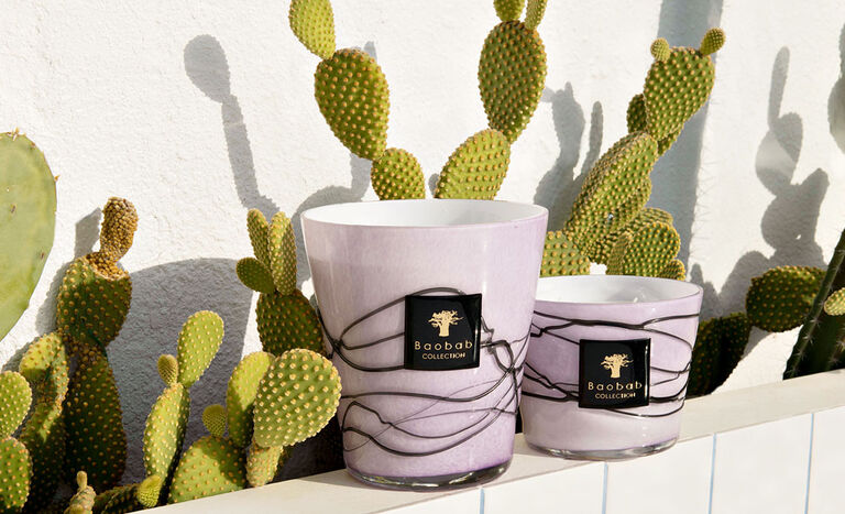 Image without a name Image without a name