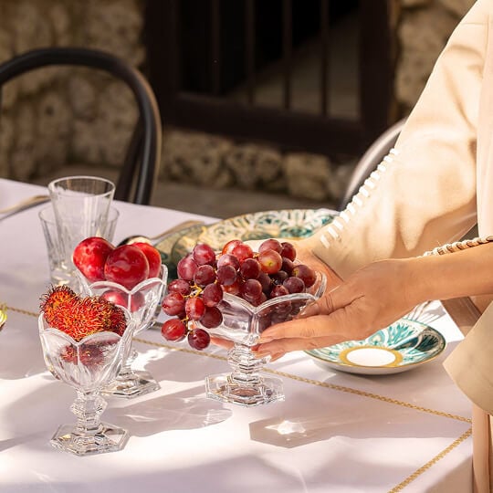 Brand Carousel - Baccarat - Lifestyle