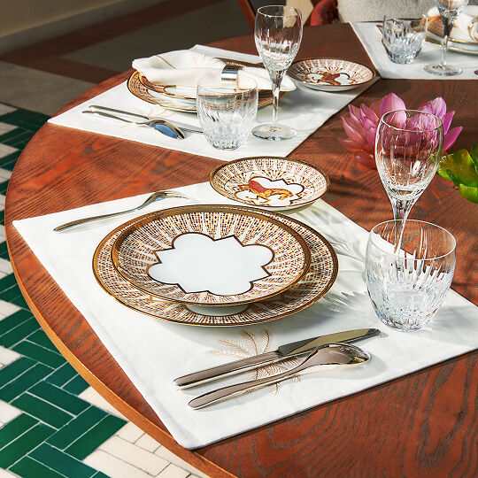 Brand Carousel - Haviland - Lifestyle