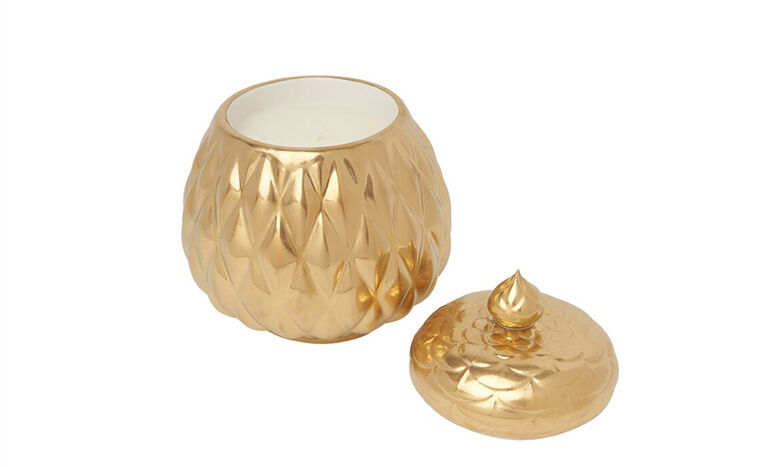 fragrances fragrances