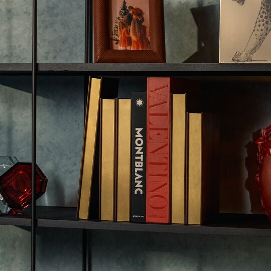 Brand Carousel - Assouline - Lifestyle