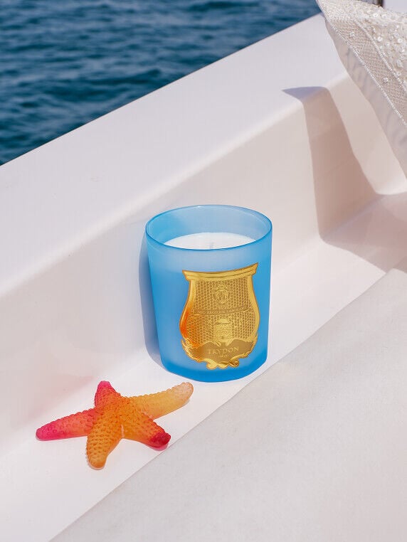 Subcategory Component - Home Fragrance - Image