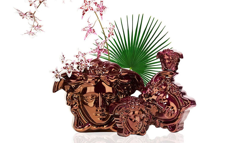 Medusa Grande Collection Medusa Grande Collection