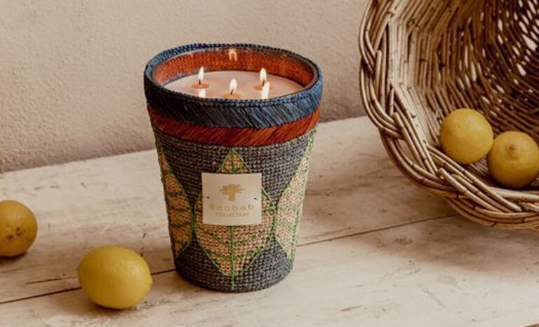 Maxi Max Ravintsara Manga by Baobab 