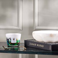 baobab collection rainforest amazonia candle max 10