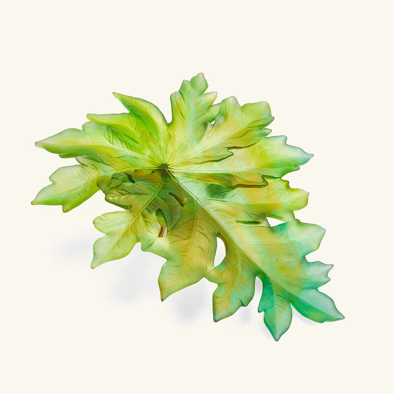 دوم منحوتة بورنيو الجدارية الكبيرة على شكل ورقة شجر خضراء