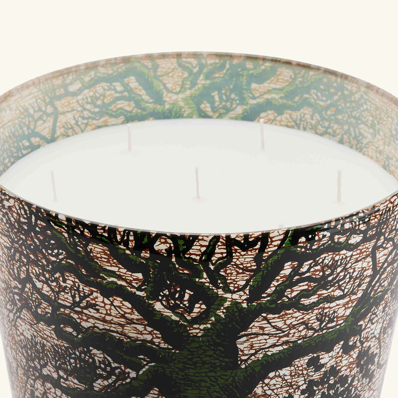 Sacred Trees Kani Candle Maxi Max baobab collection sacred trees kani candle maxi max