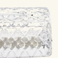 mario cioni   c spa conifer tissue box clear