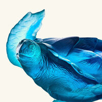 daum mer de corail sea turtle figurine small blue