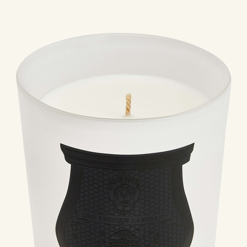 Rose Poivrée Giambattista Valli Candle 270g trudon rose poivr e giambattista valli candle 270g