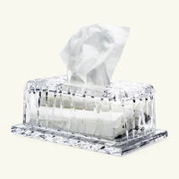 mario cioni   c tissue box clear