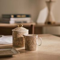 فيرساتشي مقشدة باروكو بلون البيج