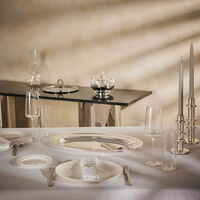 كريستوفل طبق اللحوم آلبي بيضاوي باللون الفضي 45 سم