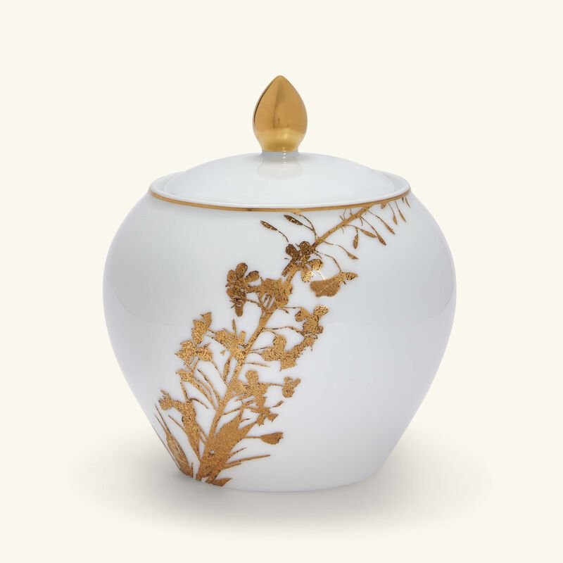 برناردو سكرية فيجيتال أور باللون الذهبي