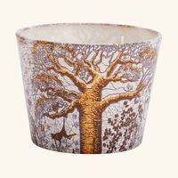 Sacred Trees Dualla Candle Max 10 baobab collection sacred trees dualla candle max 10