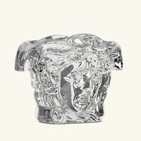 فيرساتشي مزهرية ميدوزا جراندي صغيرة شفافة