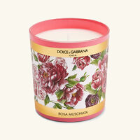 dolce gabbana casa cumin   cardamom candle
