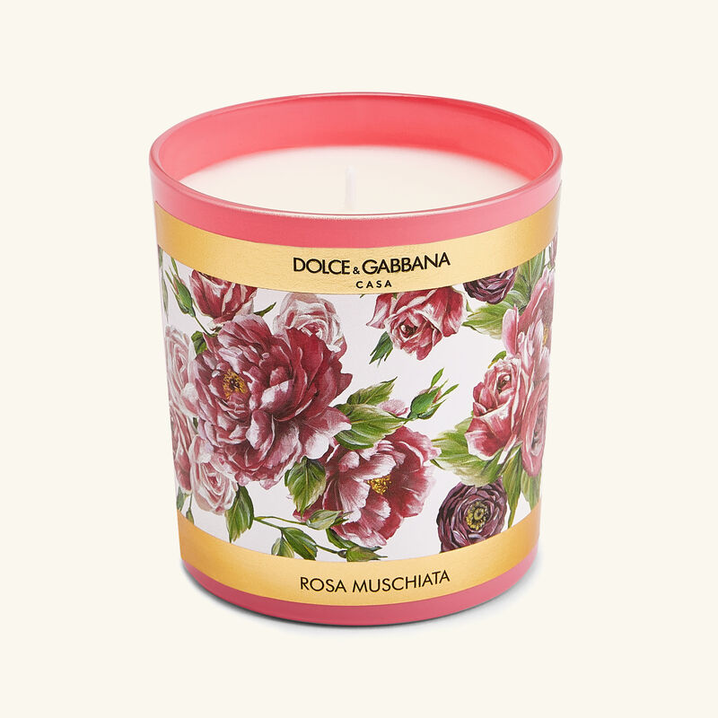 dolce gabbana casa rosa moschata candle