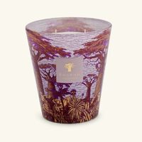 باوباب شمعة سيكرد تريز ماساسو ماكس 16