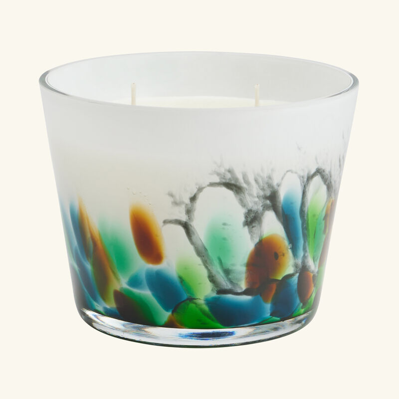 baobab collection rainforest amazonia candle max 10