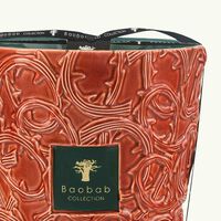 baobab collection brame artemis candle max 35