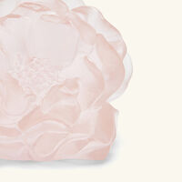 دوم منحوتة كاميليا فلاور صغيرة جدًا وردية