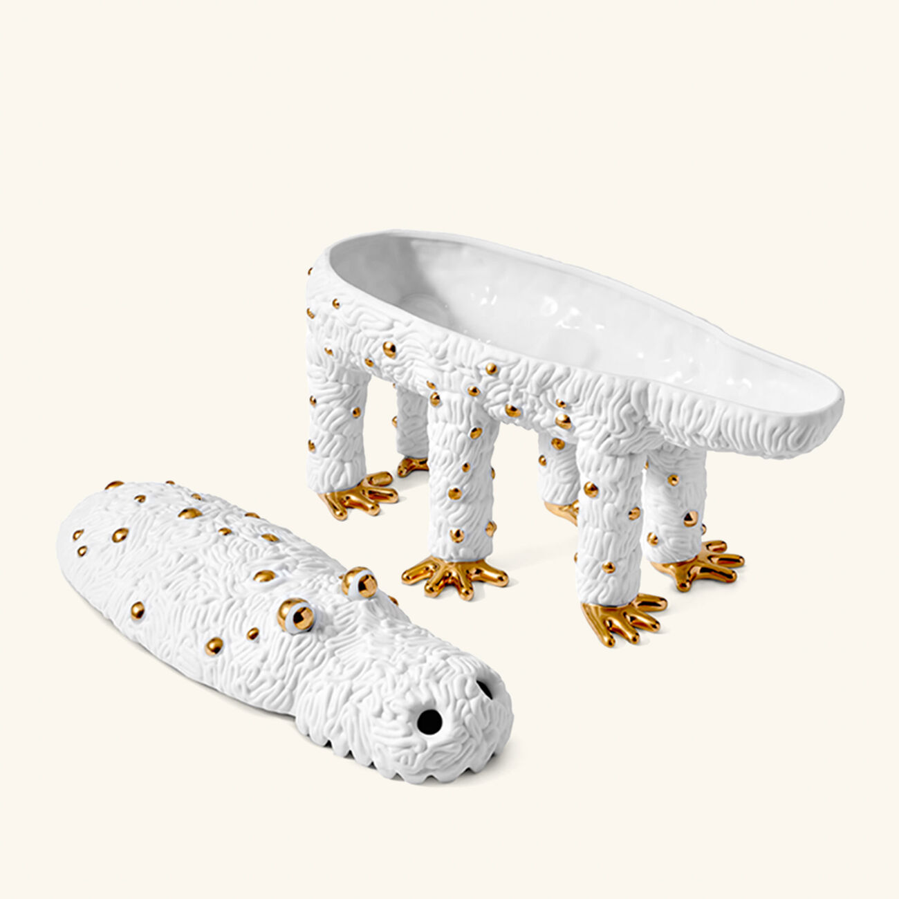 l objet haas pedro the croc box limited edition