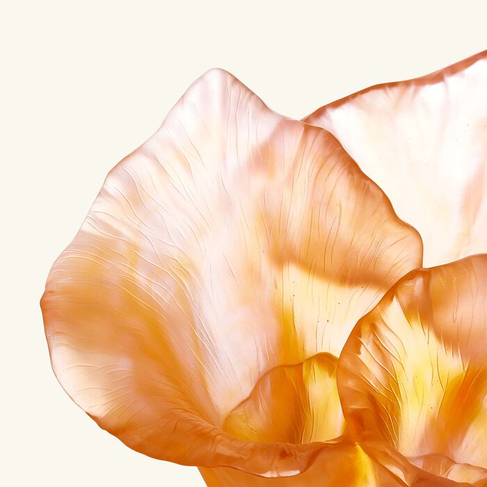 daum arum rose vase large pink