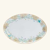 برناردو طبق فيري مايكل كايو بيضاوي الشكل 38 سم