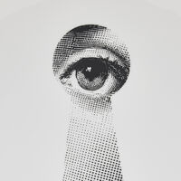 فورناسيتي طبق تزيين الجدار تيما إي فاريازيوني 14 باللون الأبيض