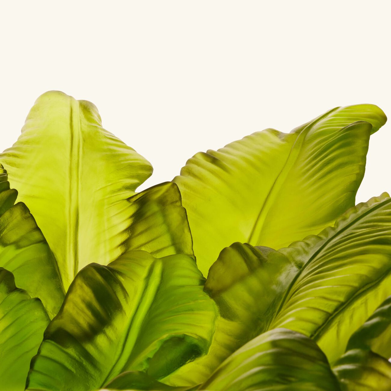 دوم قطعة الديكور المركزية توتي فروتي