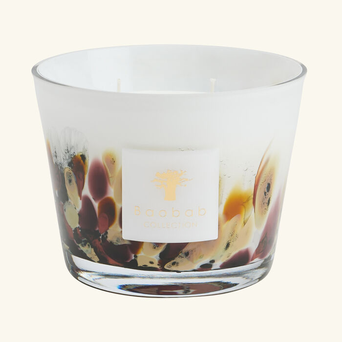 baobab collection rainforest tanjung candle max 10