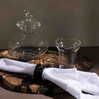 ira udaipur tota lota pitcher clear