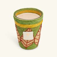 Ravintsara Ravina Candle Max 24 baobab collection ravintsara ravina candle max 24