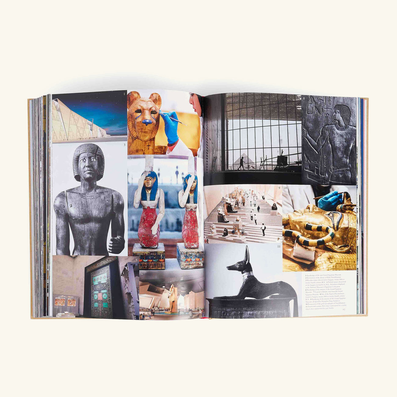 آسولين كتاب كايرو إترنال 36   28 سم