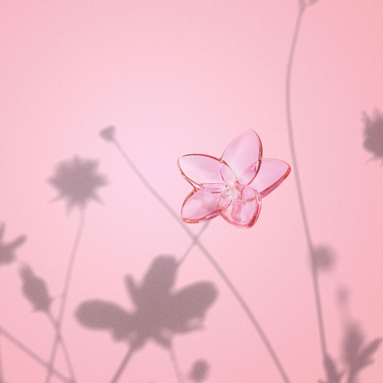 The Bloom Collection Figurine Mini Pink baccarat the bloom collection figurine mini pink