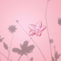 The Bloom Collection Figurine Mini Pink baccarat the bloom collection figurine mini pink