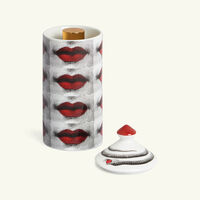 بخاخ العطر المنزلي فروتو برويبيتو 100 مل فورناسيتي بخاخ العطر المنزلي فروتو برويبيتو 100 مل