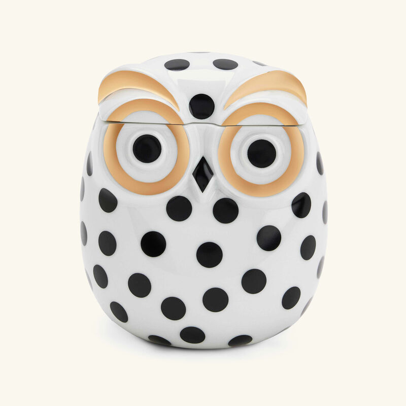 Civetta Impallinata Jar White fornasetti civetta impallinata jar white