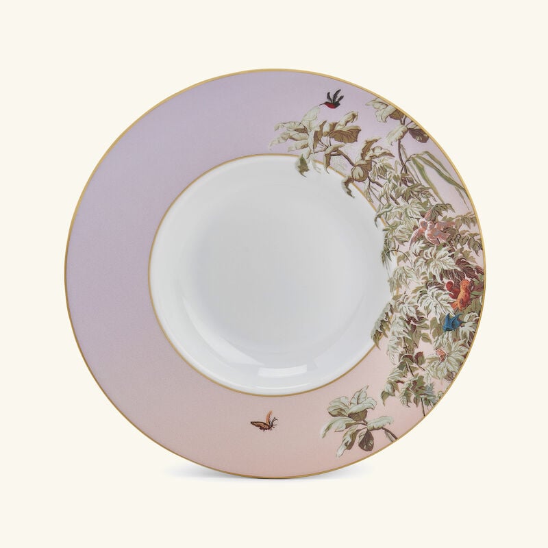 Le Brésil Soup Plate 28cm haviland le br sil soup plate 28cm