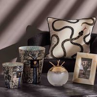 شمعة سيكرد تريز سيجيلا ماكس 24 باوباب شمعة سيكرد تريز سيجيلا ماكس 24