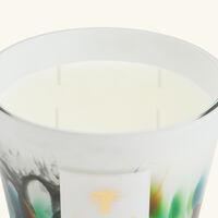 baobab collection rainforest amazonia candle max 10