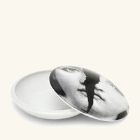 فورناسيتي صندوق تيما إي فاريازيوني 10 دائري