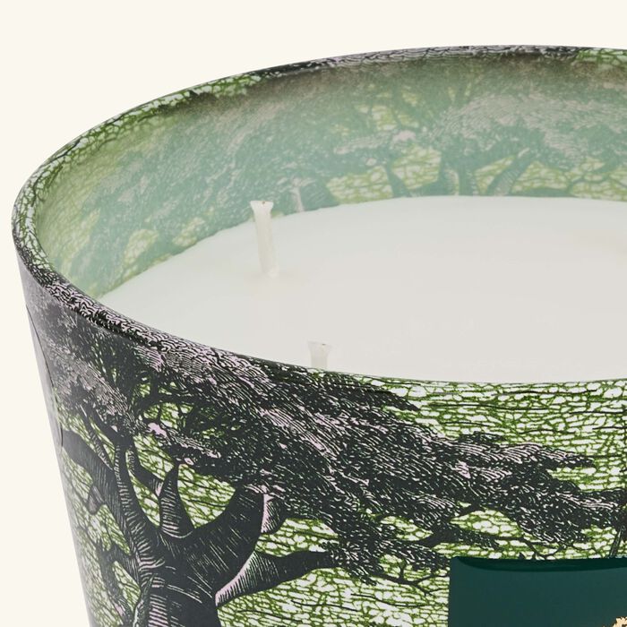 baobab collection sacred trees touba candle max 10