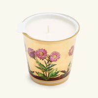 Heloise Tumbler with Candle bernardaud heloise tumbler with candle