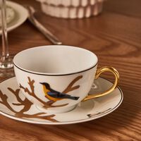 برناردو فنجان الشاي أو زوازو مع صحنه باللون الذهبي