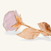 دوم منحوتة روز إتيرنيل صغيرة جدًا وردية