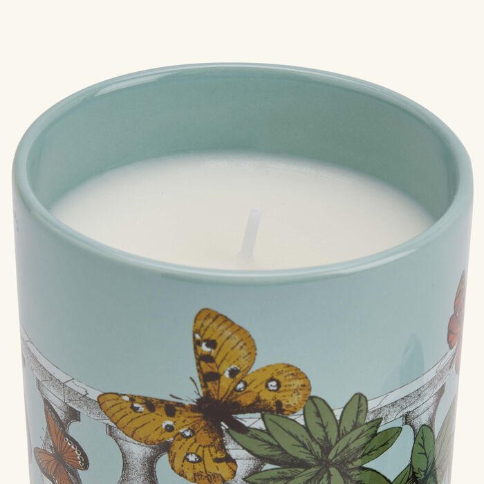 fornasetti farfalle e balaustra candle 310g