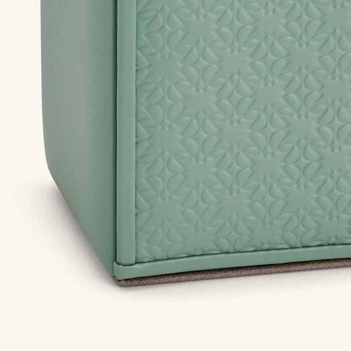 جيوبانيارا حامل أقلام إيلي صعب مونوغرام أجاتا باللون الأخضر